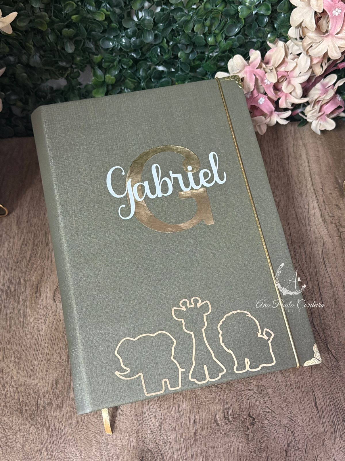 Bíblia infantil safari