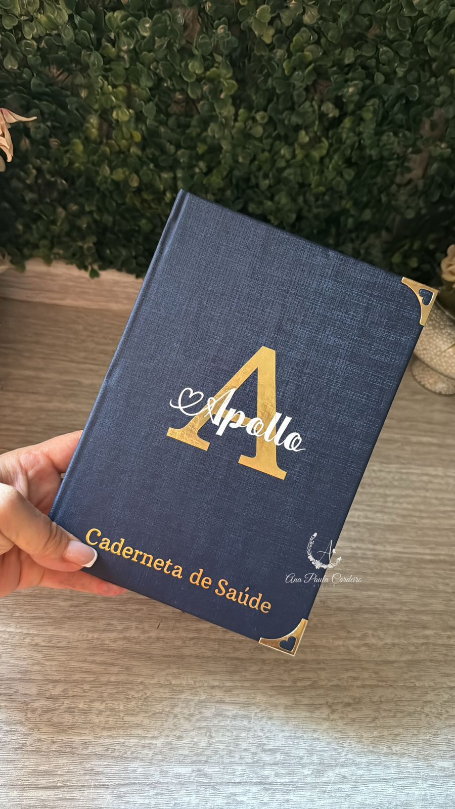 Caderneta saúde Apollo azul